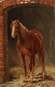 A Horse In A Shed Opening