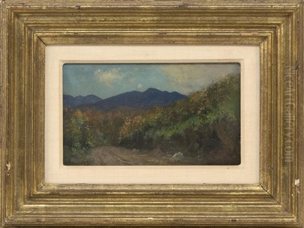Macintyre Range, Adirondacks - view 1