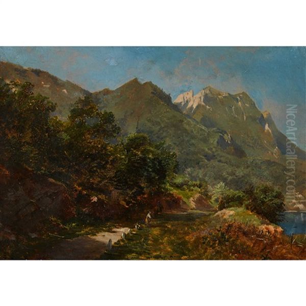 Sommerliche Berglandschaft - view 1
