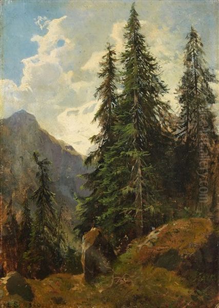 Mountain Landscape With Pines - view 1