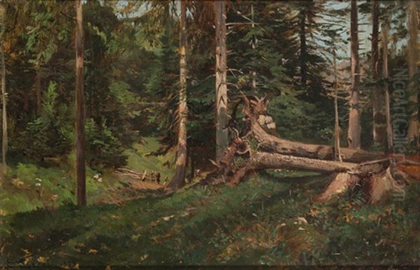 Waldlandschaft - view 1