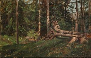 Waldlandschaft Waldlandschaft