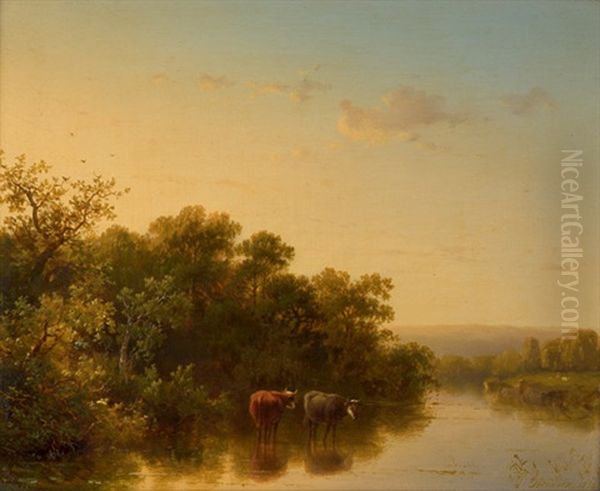 Abendliche Flusslandschaft Mit Kuhen - view 1
