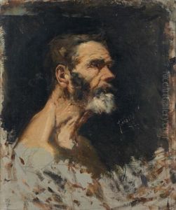 Cabeza De Anciano