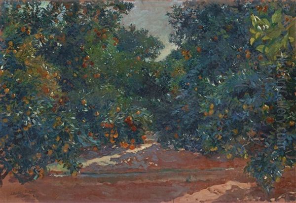 Naranjos De Alcira (orange Trees In Alcira) - view 1