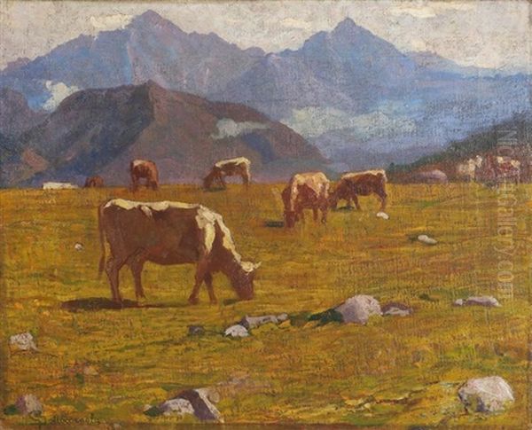 Mucche Al Pascolo - view 1