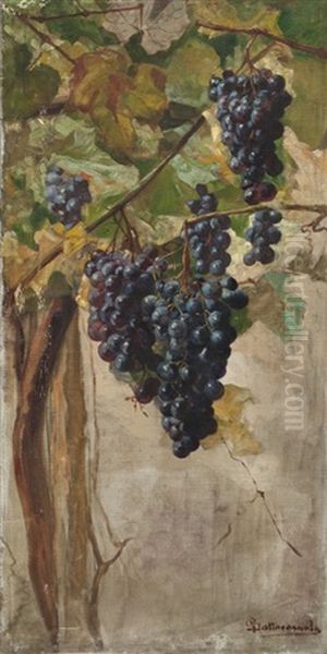 Uvas - view 1