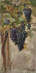 Uvas