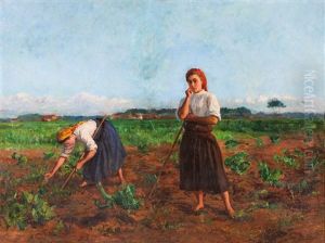 Country Scene