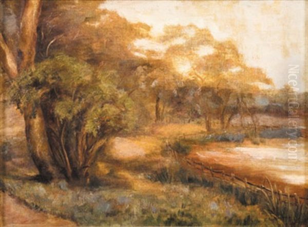 Country Landscape - view 1