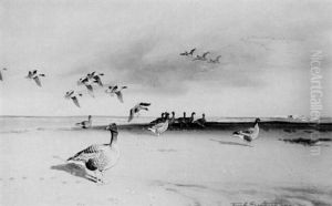 Pink-footed Geese On The Shore by Frank Southgate