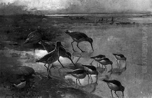 Waders On A Seashore Waders On A Seashore