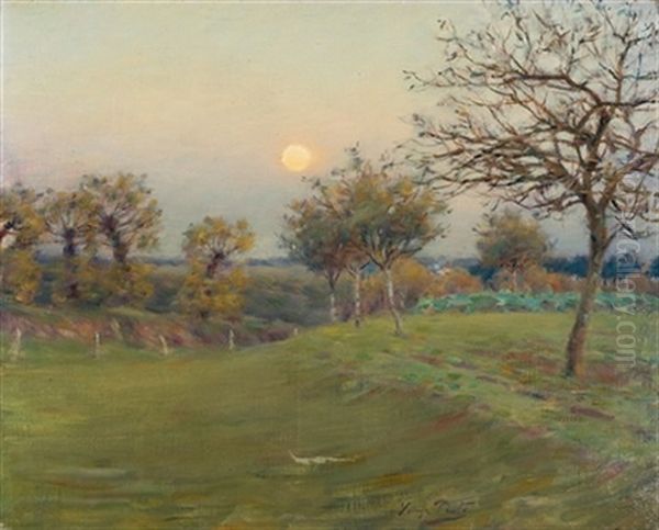 Paisaje - view 1