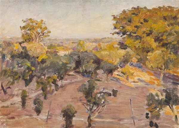 Paisagem Com Arvoredo - view 1