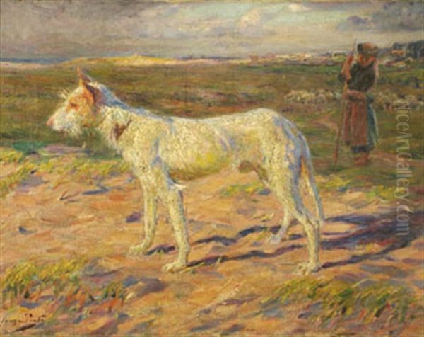 Chien De Berger - view 1