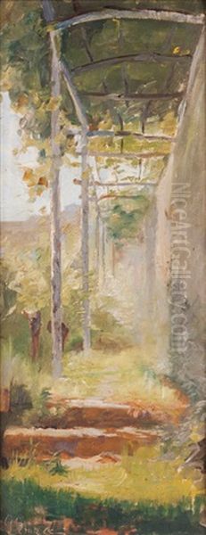 Pergola - view 1