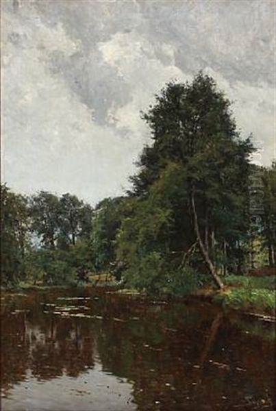 Quiet Afternoon At A Forest Lake - view 1