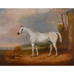 Pferd Und Hund In Weiter Landschaft Pferd Und Hund In Weiter Landschaft