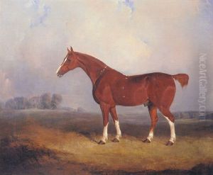 The Favourite Hunter