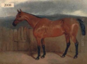 Horse Standing Near A Fence