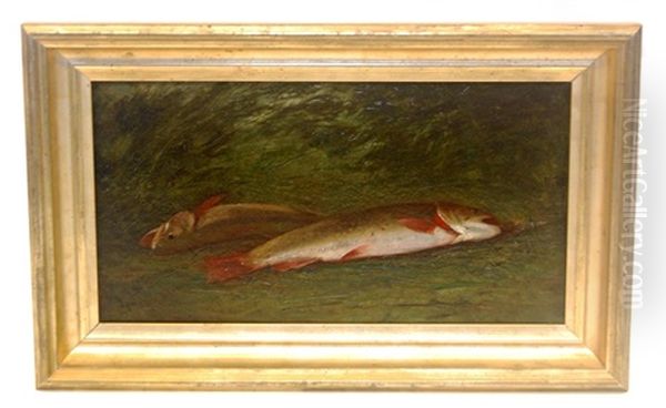 Ttwo Brook Trout Or Catch Of The Day, Circa 1870 - view 1