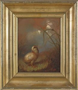 Chick And Fly by Frederick A. Spang