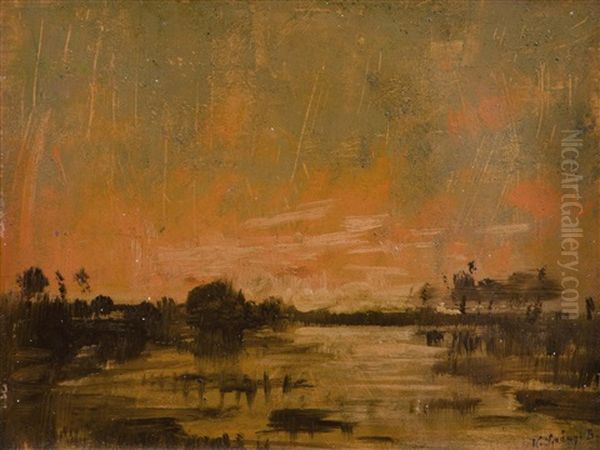 Uferlandschaft Im Abendrot - view 1