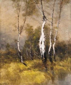 Birch Trees