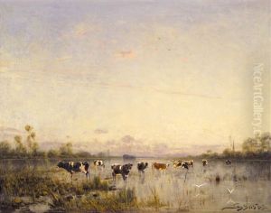 At Dawn