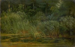 Schilfufer by Karl Christian Sparmann