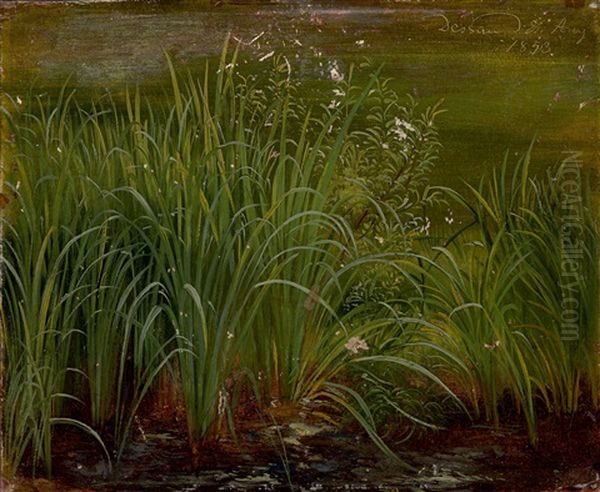 The Banks Of A Lake, With Reeds - view 1