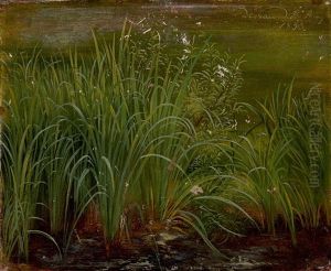 The Banks Of A Lake, With Reeds by Karl Christian Sparmann