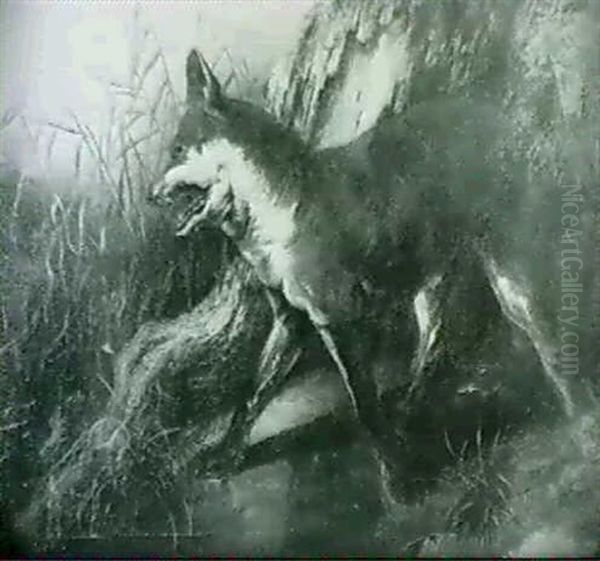 A Fox By A Gnarled Tree - view 1