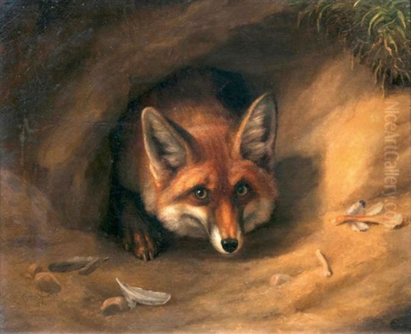 Fuchs In Seinem Bau - view 1