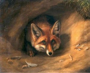 Fuchs In Seinem Bau