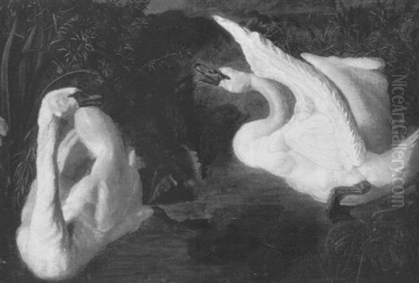 Schwanen-studien 1849 - view 1