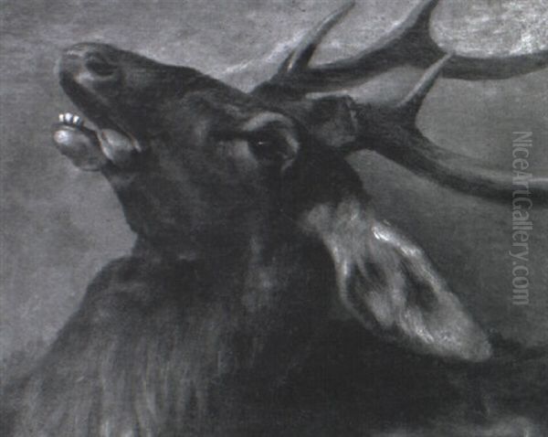 Der Verendende Hirsch - view 1