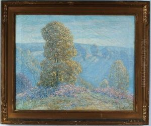 Spring Landscape Spring Landscape
