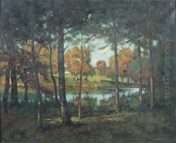 River Through The Trees - view 1