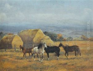 Horses & Haystacks