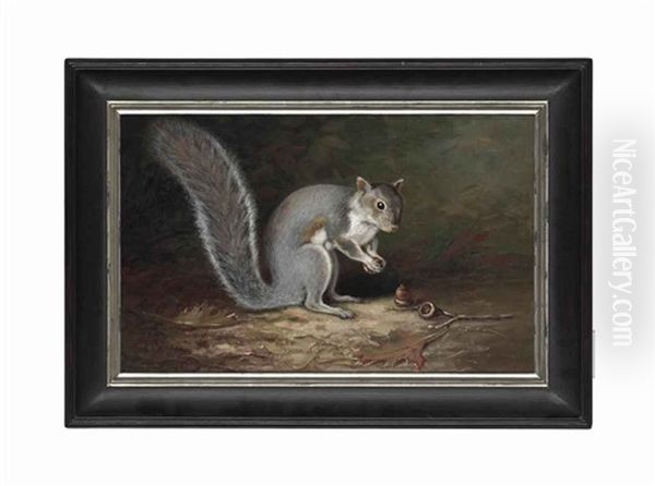 A Squirrel Harvesting Nuts - view 1