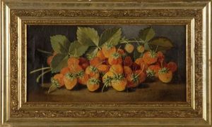 Still Life Of Strawberries