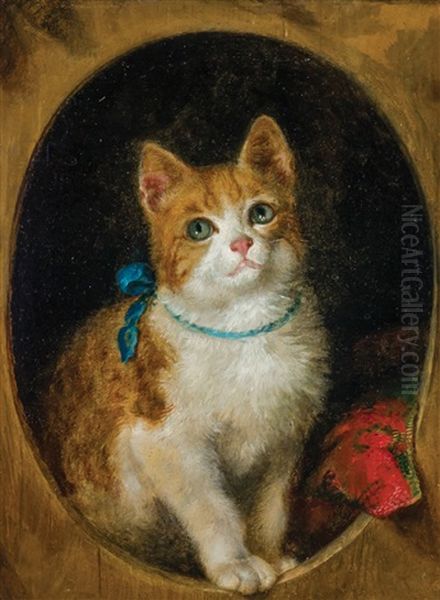 Blue Ribbon Cat - view 1