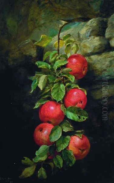 Apples - view 1