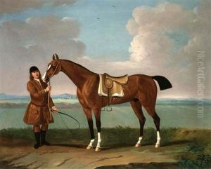 Blaze, Held By A Groom On Newmarket Heath