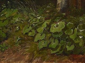 Waldboden Mit Huflattich