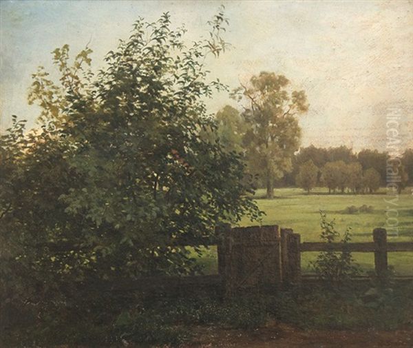 Bluhender Baum Bei Einem Tor Zu Einer Wiese - view 1