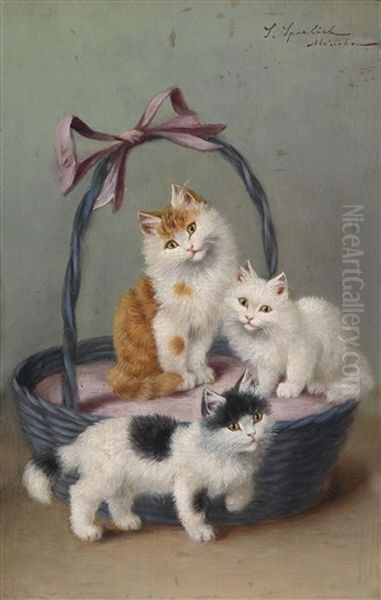 Katzen Im Korb - view 1