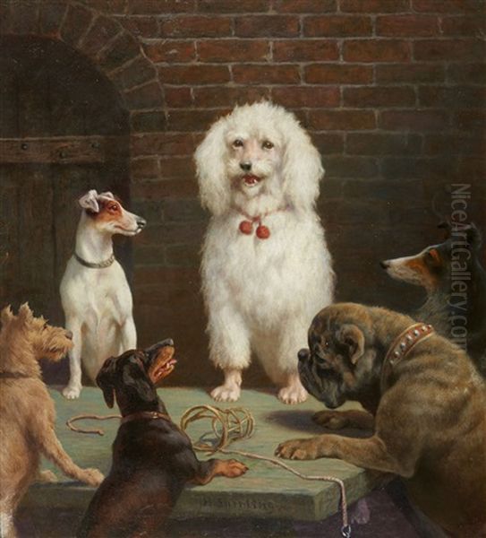 Talking Dogs - view 1