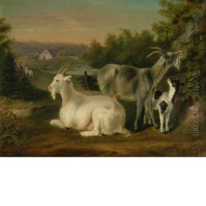 Goats In A Landscape Goats In A Landscape